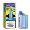 Blueberry - Pack and Device 4in1 Blueberry