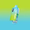 BM6000 Miami Mint Prefilled Pod Kit BM6000 Miami Mint Prefilled Pod Kit